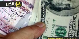 سعر الدولار أمام الجنيه المصري في تعاملات اليوم الأحد 20-10-2024