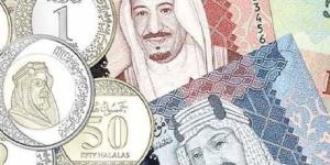 استقرار سعر الريال السعودي اليوم الأحد 20 أكتوبر 2024