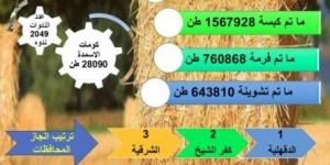 الزراعة: حصاد 94% من المساحات المنزرعة بمحصول الأرز