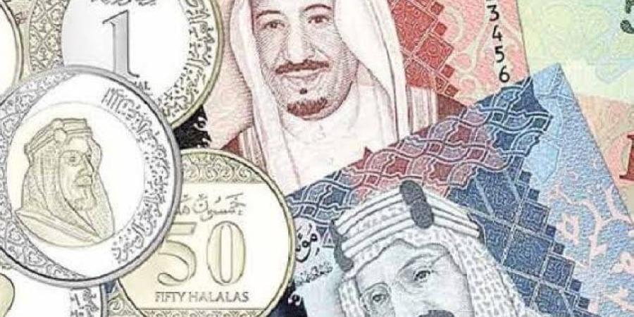 استقرار سعر الريال السعودي اليوم الأحد 20 أكتوبر 2024